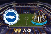 Soi kèo nhà cái W88, nhận định Brighton Albion vs Newcastle Utd - 03h00 - 21/03/2021