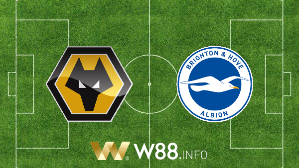 Soi kèo bóng đá tối nay, nhận định trận Wolves vs Brighton Albion – 18h00 – 09/05/2021