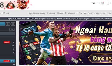 Cùng W88 đón Tết Nguyên Đán – Nhận lì xì gấp đôi đến 19 triệu tại BTI Thể thao 